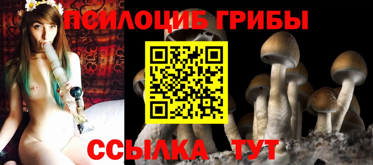 Галлюциногенные грибы Cubensis Михайловск