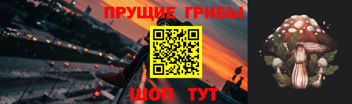 Галлюциногенные грибы GOLDEN TEACHER  Вход с VPN  Михайловск 